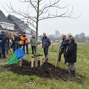 Noten plant een Notenboom Noten plant een Notenboom