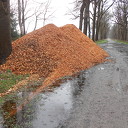 Snipperhout, lekker warm Snipperhout, lekker warm