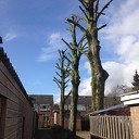 Kaalslag Nieuwe Uitleg