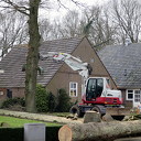 Een zieke boom moest er aan geloven Een zieke boom moest er aan geloven