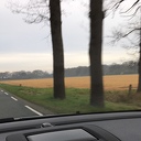 De roundup-velden kleuren weer geel De roundup-velden kleuren weer geel