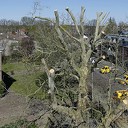Enkele foto’s vanuit de hoogte genomen