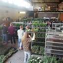 Planten van Scouting dit weekend aan de deur!