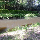 Muggen genieten van de zon en het water Muggen genieten van de zon en het water