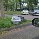 Had iemand genoeg van het songfestival?