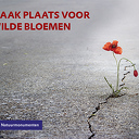 Collecteren om ruimte te maken voor wilde bloemen