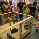 Opening de Hooibergh bij Welkoop