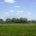 Update droogte: zonder regen neemt droogte toe Update droogte: zonder regen neemt droogte toe