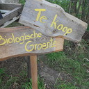 Vakantietijd: kraampjestijd Vakantietijd: kraampjestijd