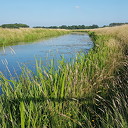 Update van het waterschap over de droogte Update van het waterschap over de droogte