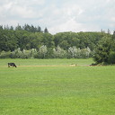 Dieptebeeld vanaf de Hoonhorst