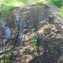Jammer dat de bospaden zo aan flarden worden gereden Jammer dat de bospaden zo aan flarden worden gereden