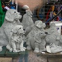 Video impressie 3e blauwebogendag Dalfsen 2019. Video impressie 3e blauwebogendag Dalfsen 2019.