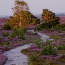 Ingezonden omgevingsfoto’s Ingezonden omgevingsfoto’s