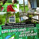 Echte komkommertijd op de decohof in Hoonhorst