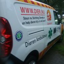 Zorg om eekhoorntje Zorg om eekhoorntje