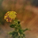 Zomer voorbij en kleurrijke herfst in aantocht