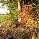 Herfst in De Mataram