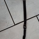Halsband gevonden Halsband gevonden