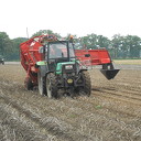 Aardappels rooien Aardappels rooien