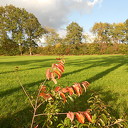 Mooie herfstkleuren Mooie herfstkleuren