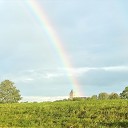 Regenboog Regenboog