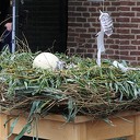 Boekpresentatie Fogul en natuurontdekmarkt Boekpresentatie Fogul en natuurontdekmarkt