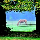 Wandelende fotograaf Wandelende fotograaf
