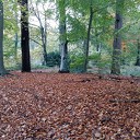 Ook op Landgoed Den Berg is de herfst prachtig Ook op Landgoed Den Berg is de herfst prachtig