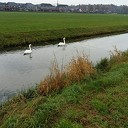 Kuieren in de buurte van de Hoonhorst Kuieren in de buurte van de Hoonhorst