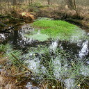 Schuilplek natuurfotograaf Schuilplek natuurfotograaf