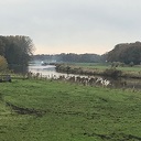 Sinterklaas Sinterklaas