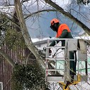 Waterschap flink aan het snoeien Waterschap flink aan het snoeien