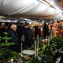 Kerstmarkt op de Ambelt Kerstmarkt op de Ambelt