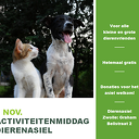 9 nov. Activiteitenmiddag dierenasiel 9 nov. Activiteitenmiddag dierenasiel