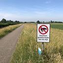 Dijkschade door muizen Dijkschade door muizen