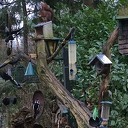 Natuur aan de Stuw Natuur aan de Stuw