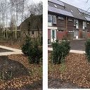 Opgeknapte gemeenschappelijke achtertuin Opgeknapte gemeenschappelijke achtertuin