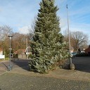 Duurzame kerstboom in duurzaam Hoonhorst?