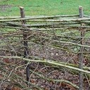 Workshop heggen vlechten: 29 februari
