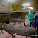 Johnny Hogenkamp stopt met varkensbedrijf Johnny Hogenkamp stopt met varkensbedrijf