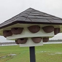 Vrienden van Dalfsen bieden huiszwaluwtil aan Vrienden van Dalfsen bieden huiszwaluwtil aan