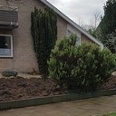 Hele hoge Heide