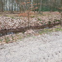 Dreugte?