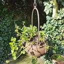  Winterhard ewurdn