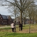 Verkleed veur een feesie Verkleed veur een feesie