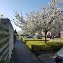 De stroate is nie breed genog De stroate is nie breed genog
