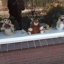 Berenjacht