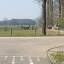 Nej soort in Oldluusn?