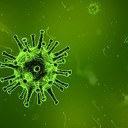 Veel activiteiten Trefkoele+ geannuleerd ivm het coronavirus Veel activiteiten Trefkoele+ geannuleerd ivm het coronavirus